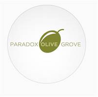 Paradox Olive Grove  Michele Sheward